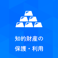 知的財産の保護・利用